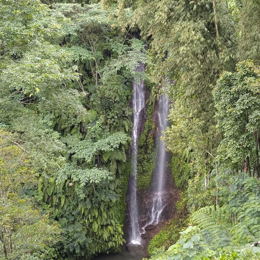Munduk Tutub Waterfall View Zewnętrze zdjęcie