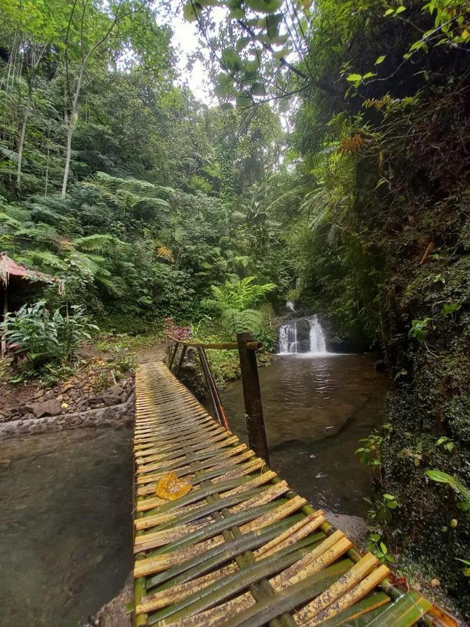 Munduk Tutub Waterfall View Zewnętrze zdjęcie