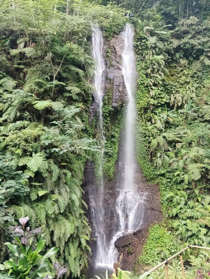 Munduk Tutub Waterfall View Zewnętrze zdjęcie